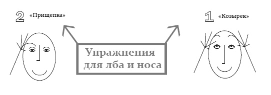 Иллюстрация к книге — Эколифтинг лица: как выглядеть на 10 лет моложе [i_043.jpg]