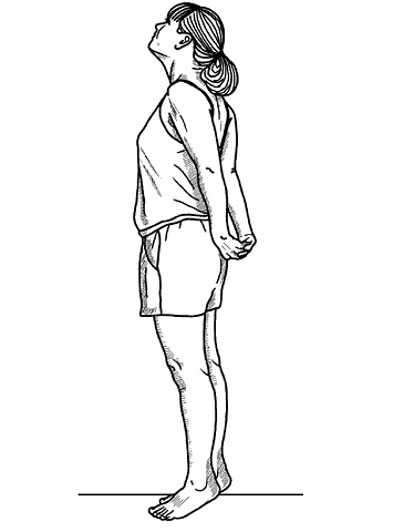 Иллюстрация к книге — Жизнь без боли в спине. Лечение сколиоза, остеопороза, остеохондроза, межпозвонковой грыжи без операции [i_017.jpg]