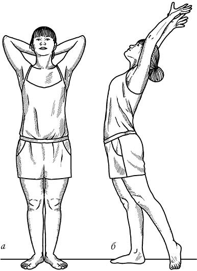 Иллюстрация к книге — Жизнь без боли в спине. Лечение сколиоза, остеопороза, остеохондроза, межпозвонковой грыжи без операции [i_018.jpg]