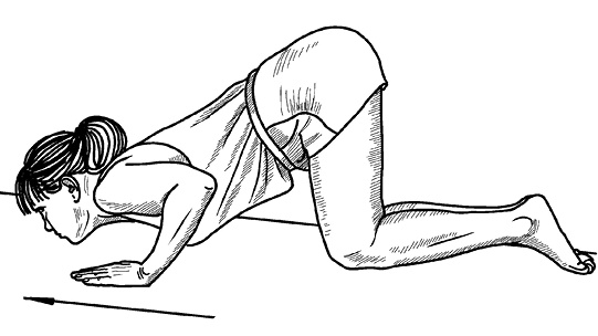 Иллюстрация к книге — Жизнь без боли в спине. Лечение сколиоза, остеопороза, остеохондроза, межпозвонковой грыжи без операции [i_022.jpg]