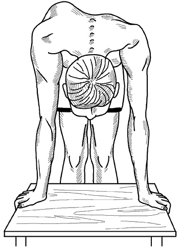 Иллюстрация к книге — Жизнь без боли в спине. Лечение сколиоза, остеопороза, остеохондроза, межпозвонковой грыжи без операции [i_054.jpg]