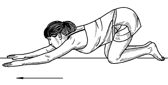 Иллюстрация к книге — Жизнь без боли в спине. Лечение сколиоза, остеопороза, остеохондроза, межпозвонковой грыжи без операции [i_063.jpg]