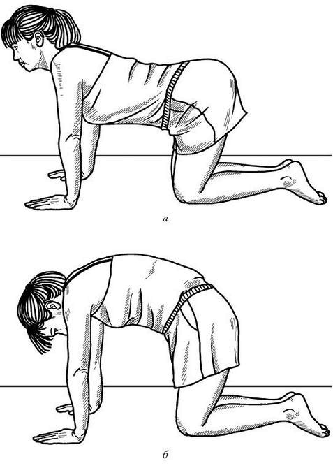 Иллюстрация к книге — Жизнь без боли в спине. Лечение сколиоза, остеопороза, остеохондроза, межпозвонковой грыжи без операции [i_089.jpg]