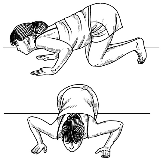 Иллюстрация к книге — Жизнь без боли в спине. Лечение сколиоза, остеопороза, остеохондроза, межпозвонковой грыжи без операции [i_095.jpg]