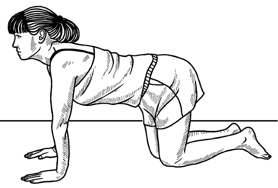 Иллюстрация к книге — Жизнь без боли в спине. Лечение сколиоза, остеопороза, остеохондроза, межпозвонковой грыжи без операции [i_097.jpg]