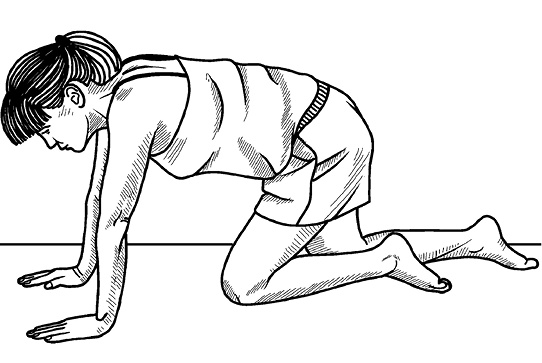 Иллюстрация к книге — Жизнь без боли в спине. Лечение сколиоза, остеопороза, остеохондроза, межпозвонковой грыжи без операции [i_098.jpg]