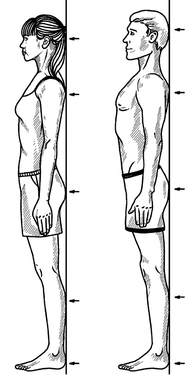 Иллюстрация к книге — Жизнь без боли в спине. Лечение сколиоза, остеопороза, остеохондроза, межпозвонковой грыжи без операции [i_122.jpg]