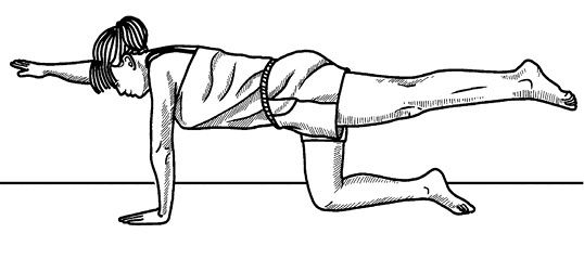 Иллюстрация к книге — Жизнь без боли в спине. Лечение сколиоза, остеопороза, остеохондроза, межпозвонковой грыжи без операции [i_132.jpg]