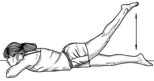 Иллюстрация к книге — Жизнь без боли в спине. Лечение сколиоза, остеопороза, остеохондроза, межпозвонковой грыжи без операции [i_134.jpg]