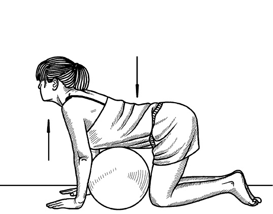 Иллюстрация к книге — Жизнь без боли в спине. Лечение сколиоза, остеопороза, остеохондроза, межпозвонковой грыжи без операции [i_146.jpg]