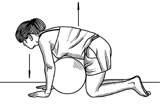 Иллюстрация к книге — Жизнь без боли в спине. Лечение сколиоза, остеопороза, остеохондроза, межпозвонковой грыжи без операции [i_147.jpg]