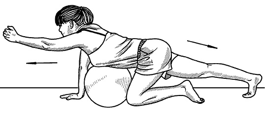 Иллюстрация к книге — Жизнь без боли в спине. Лечение сколиоза, остеопороза, остеохондроза, межпозвонковой грыжи без операции [i_148.jpg]