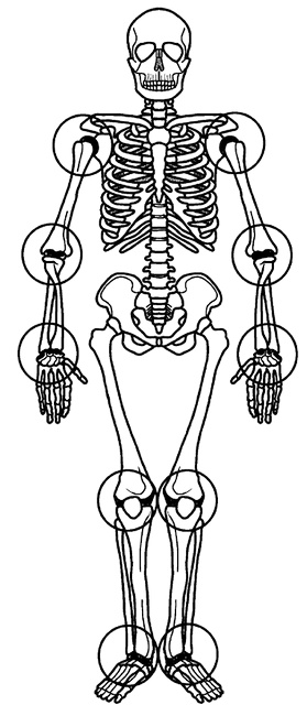 Иллюстрация к книге — Жизнь без боли в спине. Лечение сколиоза, остеопороза, остеохондроза, межпозвонковой грыжи без операции [i_163.jpg]