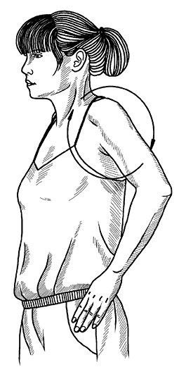 Иллюстрация к книге — Жизнь без боли в спине. Лечение сколиоза, остеопороза, остеохондроза, межпозвонковой грыжи без операции [i_169.jpg]