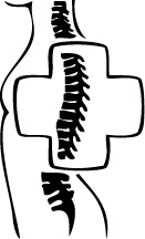 Иллюстрация к книге — Жизнь без боли в спине. Лечение сколиоза, остеопороза, остеохондроза, межпозвонковой грыжи без операции [i_178.jpg]