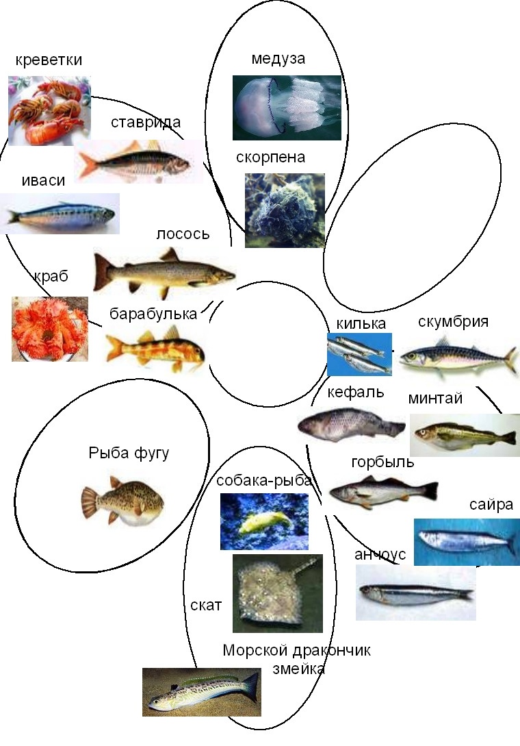 Иллюстрация к книге — Волновая диетология [image30_55ef2a2dbe14519465636ba8_jpg.jpg]