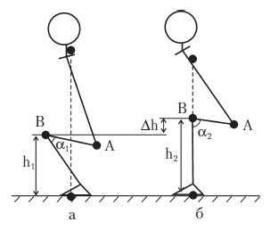 Иллюстрация к книге — Силовой тренинг. Как нарастить силу, занимаясь без тренера [i_019.jpg]