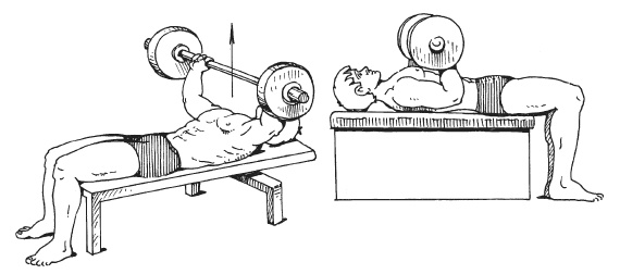 Иллюстрация к книге — Силовой тренинг. Как нарастить силу, занимаясь без тренера [i_024.jpg]