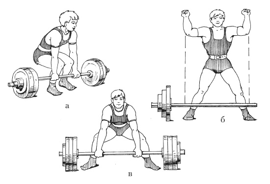 Иллюстрация к книге — Силовой тренинг. Как нарастить силу, занимаясь без тренера [i_029.jpg]
