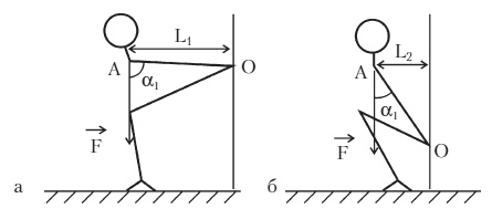 Иллюстрация к книге — Силовой тренинг. Как нарастить силу, занимаясь без тренера [i_030.jpg]