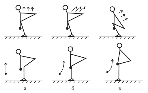 Иллюстрация к книге — Силовой тренинг. Как нарастить силу, занимаясь без тренера [i_031.jpg]