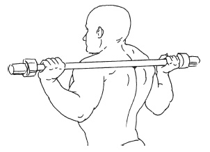 Иллюстрация к книге — Силовой тренинг. Как нарастить силу, занимаясь без тренера [i_072.jpg]