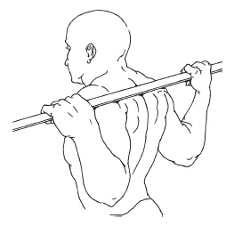 Иллюстрация к книге — Силовой тренинг. Как нарастить силу, занимаясь без тренера [i_073.jpg]