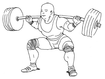 Иллюстрация к книге — Силовой тренинг. Как нарастить силу, занимаясь без тренера [i_075.jpg]