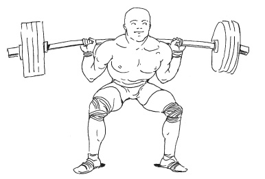 Иллюстрация к книге — Силовой тренинг. Как нарастить силу, занимаясь без тренера [i_076.jpg]