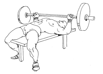 Иллюстрация к книге — Силовой тренинг. Как нарастить силу, занимаясь без тренера [i_080.jpg]