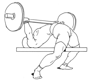 Иллюстрация к книге — Силовой тренинг. Как нарастить силу, занимаясь без тренера [i_081.jpg]