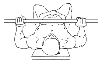 Иллюстрация к книге — Силовой тренинг. Как нарастить силу, занимаясь без тренера [i_083.jpg]