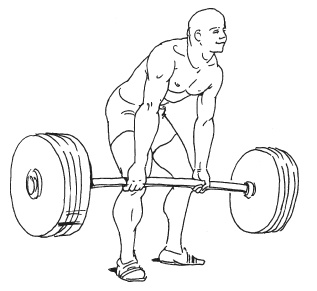 Иллюстрация к книге — Силовой тренинг. Как нарастить силу, занимаясь без тренера [i_085.jpg]