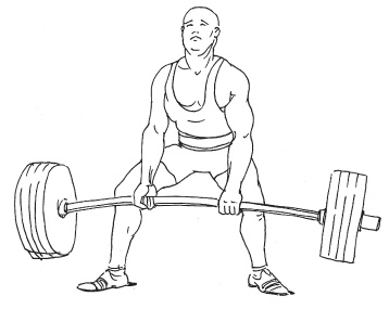 Иллюстрация к книге — Силовой тренинг. Как нарастить силу, занимаясь без тренера [i_086.jpg]