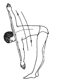 Иллюстрация к книге — Силовой тренинг. Как нарастить силу, занимаясь без тренера [i_092.jpg]