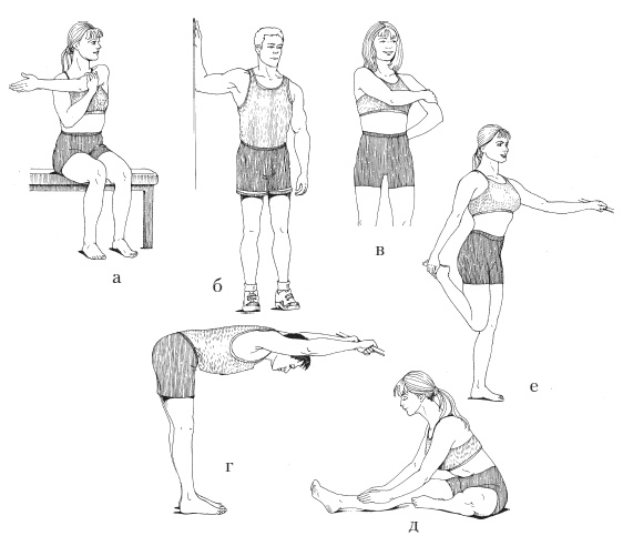 Иллюстрация к книге — Силовой тренинг. Как нарастить силу, занимаясь без тренера [i_109.jpg]