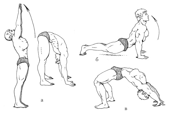 Иллюстрация к книге — Силовой тренинг. Как нарастить силу, занимаясь без тренера [i_113.jpg]