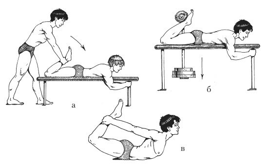 Иллюстрация к книге — Силовой тренинг. Как нарастить силу, занимаясь без тренера [i_114.jpg]