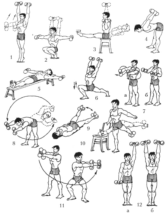 Иллюстрация к книге — Силовой тренинг. Как нарастить силу, занимаясь без тренера [i_117.jpg]