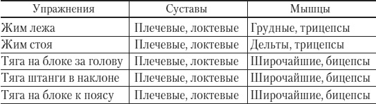 Иллюстрация к книге — Силовой тренинг. Как нарастить силу, занимаясь без тренера [i_119.jpg]