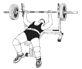 Иллюстрация к книге — Силовой тренинг. Как нарастить силу, занимаясь без тренера [i_120.jpg]