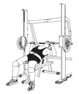 Иллюстрация к книге — Силовой тренинг. Как нарастить силу, занимаясь без тренера [i_121.jpg]