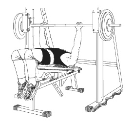 Иллюстрация к книге — Силовой тренинг. Как нарастить силу, занимаясь без тренера [i_123.jpg]