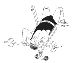 Иллюстрация к книге — Силовой тренинг. Как нарастить силу, занимаясь без тренера [i_129.jpg]