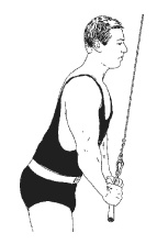 Иллюстрация к книге — Силовой тренинг. Как нарастить силу, занимаясь без тренера [i_130.jpg]