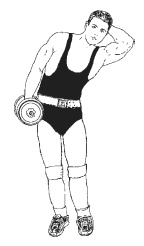 Иллюстрация к книге — Силовой тренинг. Как нарастить силу, занимаясь без тренера [i_133.jpg]