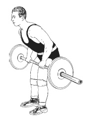Иллюстрация к книге — Силовой тренинг. Как нарастить силу, занимаясь без тренера [i_134.jpg]