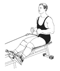 Иллюстрация к книге — Силовой тренинг. Как нарастить силу, занимаясь без тренера [i_138.jpg]