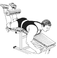 Иллюстрация к книге — Силовой тренинг. Как нарастить силу, занимаясь без тренера [i_149.jpg]