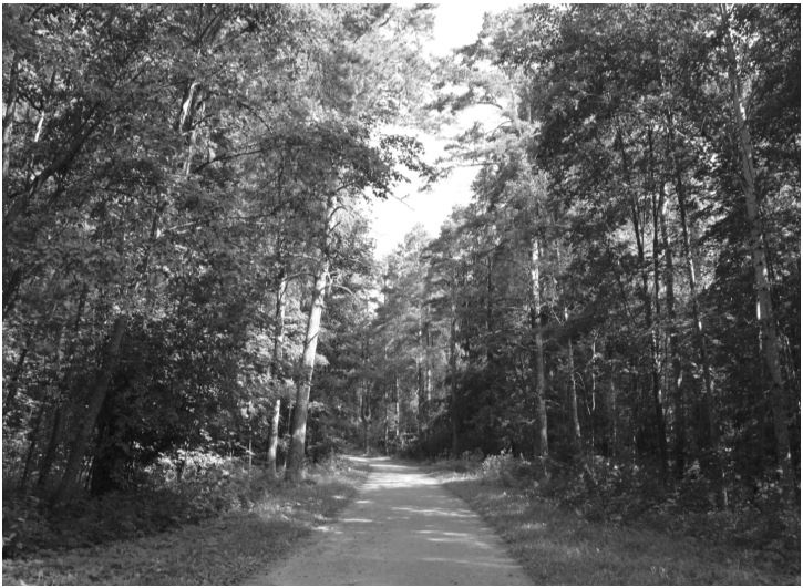 Иллюстрация к книге — Удивительные истории о словах самых разных. Книга о том, ЧТО мы говорим, сами того не ведая [b00001180.jpg]